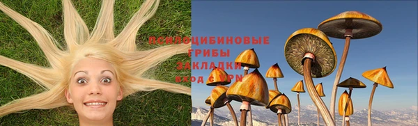 крисы Нефтекумск