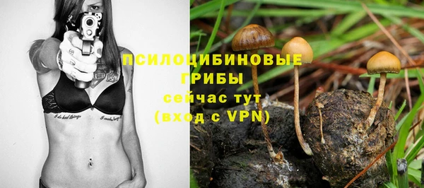ПСИЛОЦИБИНОВЫЕ ГРИБЫ Нея