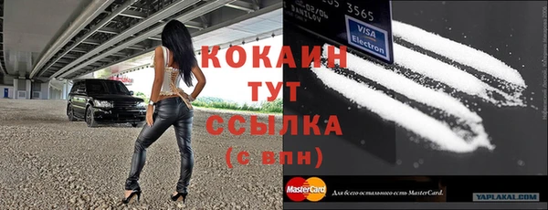ПСИЛОЦИБИНОВЫЕ ГРИБЫ Нея